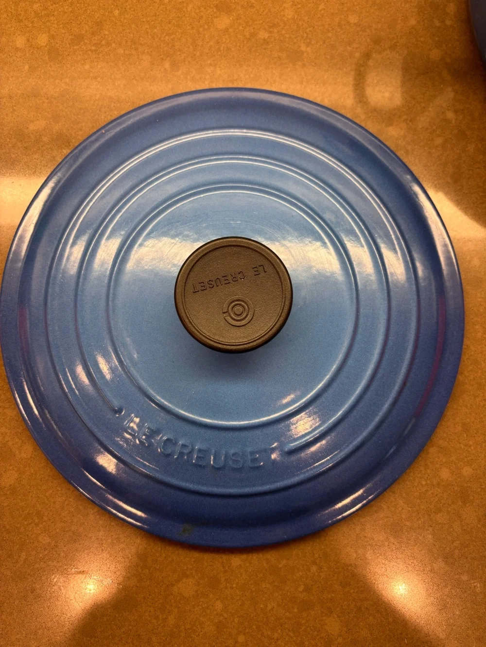 Le Creuset Blue Round Enameled Cast Iron Dutch Oven with Lid